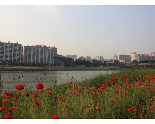 Taehwagang National Garden