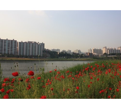 Taehwagang National Garden