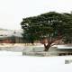 Changdeokgung Palace