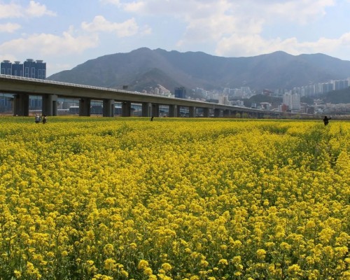 Daejeo Ecological Park