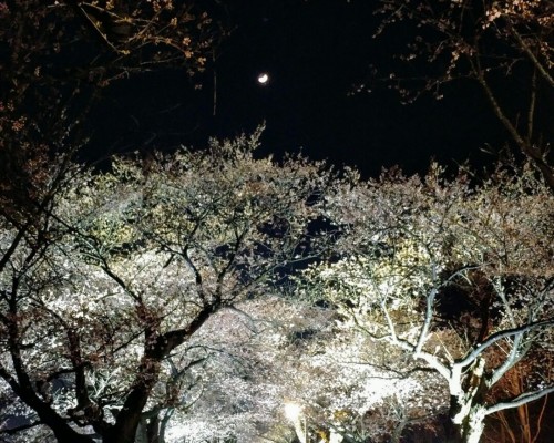 Jakcheonjeong CB Road