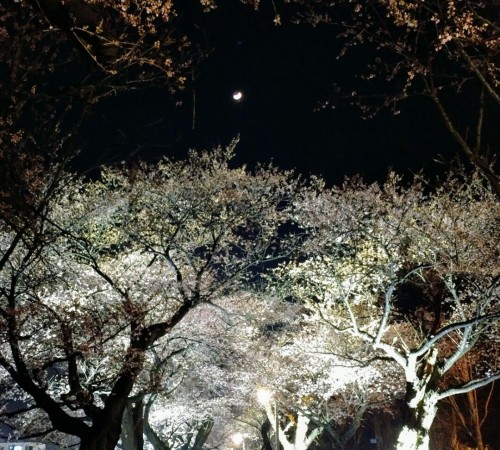 Jakcheonjeong CB Road