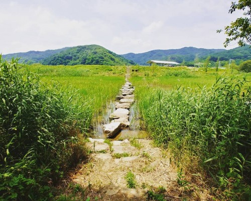 Jeongyang Swamp Ecological Park