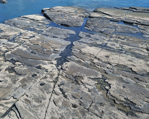 Deokmyeong Dinosaur Footprints