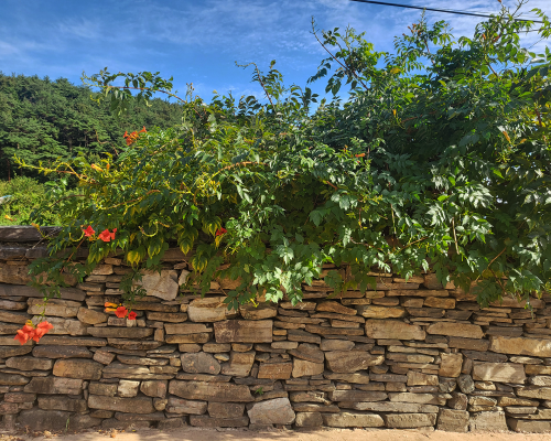 Old walls of Hakdong Village