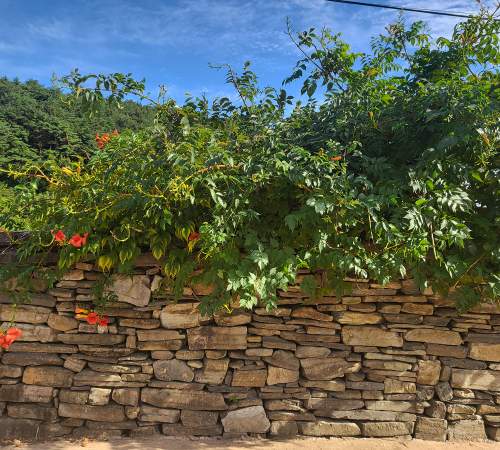 Old walls of Hakdong Village