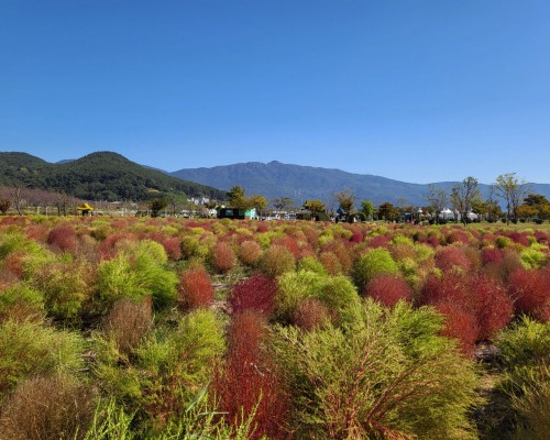 Hwangsan Park