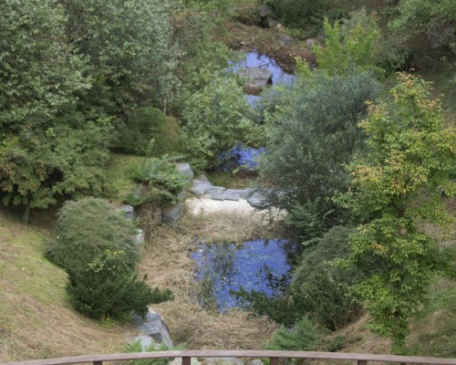 Gyeongsangnamdo Arboretum