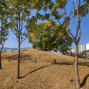 Gimhae Daeseong-dong Ancient Tombs