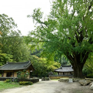 Ungok Seowon