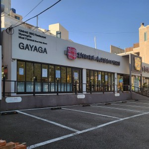 Han-u Salang Gayaga