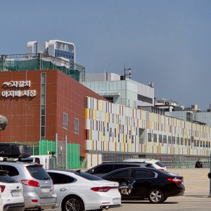 Jagalchi Ajimae Market