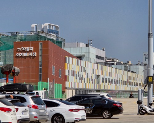 Jagalchi Ajimae Market