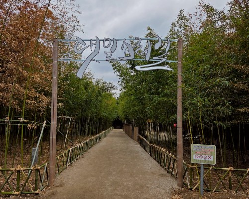 Jukgok Daennipsorigil