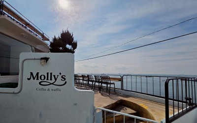 Mollys