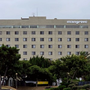 Mangrove Jeju City