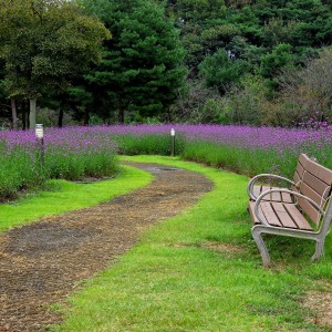 Munam Ecological Park