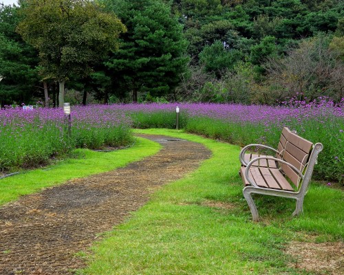 Munam Ecological Park