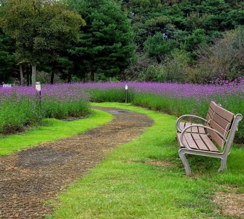 Munam Ecological Park