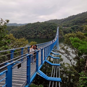 Meer 309 Suspension Bridge
