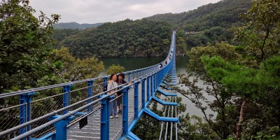 Meer 309 Suspension Bridge