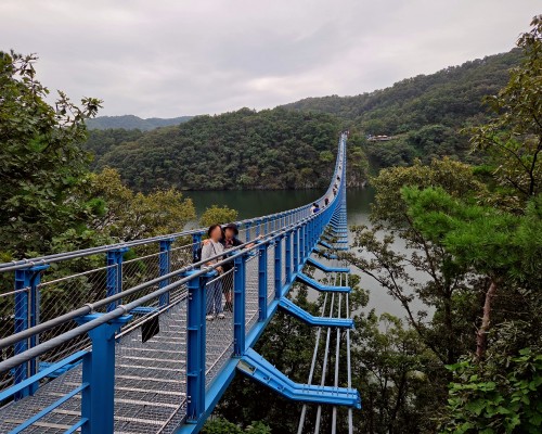 Meer 309 Suspension Bridge