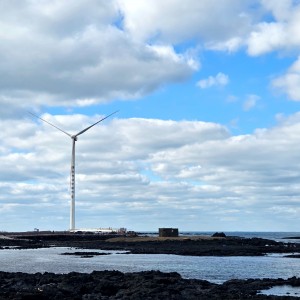 Sinchang Windmill Coast