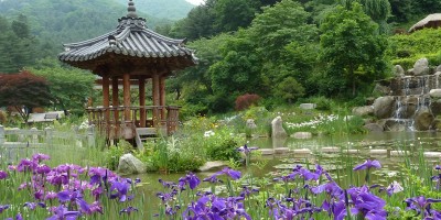 The Garden of Morning Calm