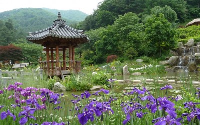 The Garden of Morning Calm