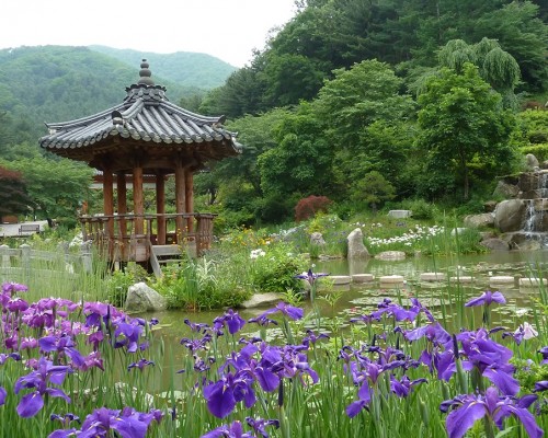 The Garden of Morning Calm