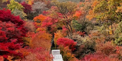 Hwadam Botanic Garden