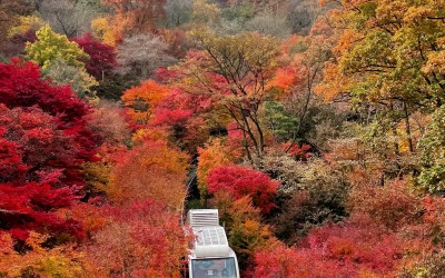 Hwadam Botanic Garden