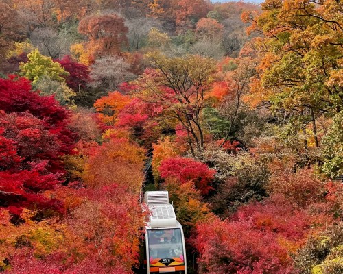 Hwadam Botanic Garden