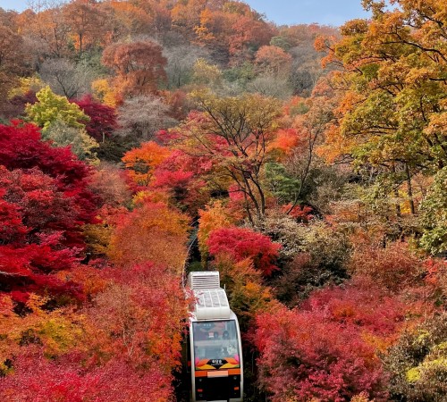 Hwadam Botanic Garden