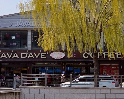 Java Dave Coffee