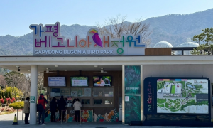가평 베고니아 새정원 커피PKG