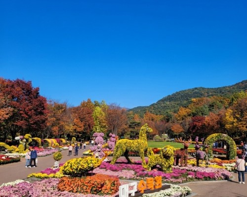 Daegu Arboretum