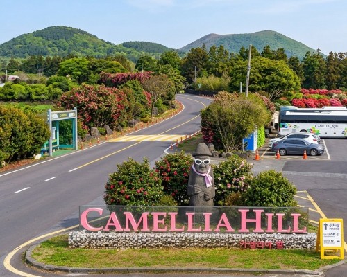 Camellia Hill