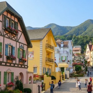 Edelweiss Swiss