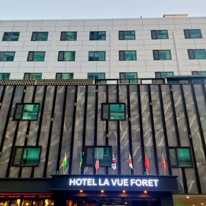 Hotel Lavueforet