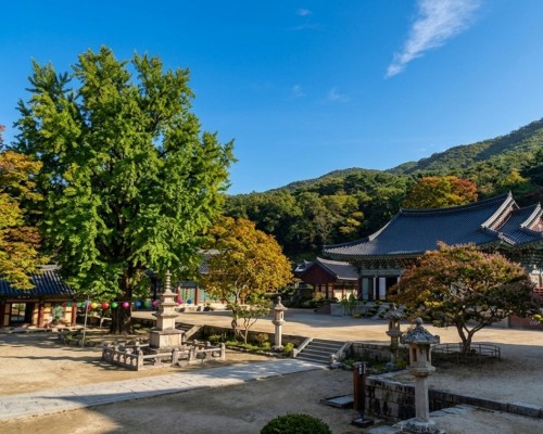 Songgwangsa Buddhist Temple