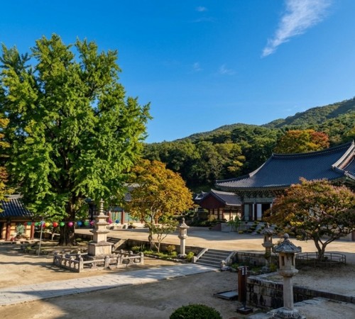 Songgwangsa Buddhist Temple