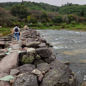 Meer Forest Chorong Trail