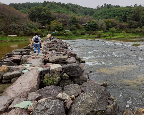 Meer Forest Chorong Trail
